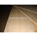 plywood board/commercial plywood